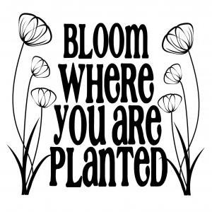 Bloom Where You Are Planted Decal
