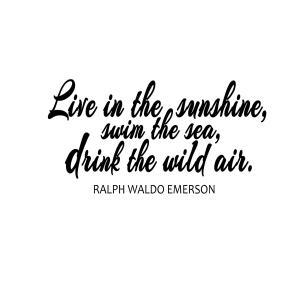 Live In The Sunshine, Swim The Sea, Drink The Wild..